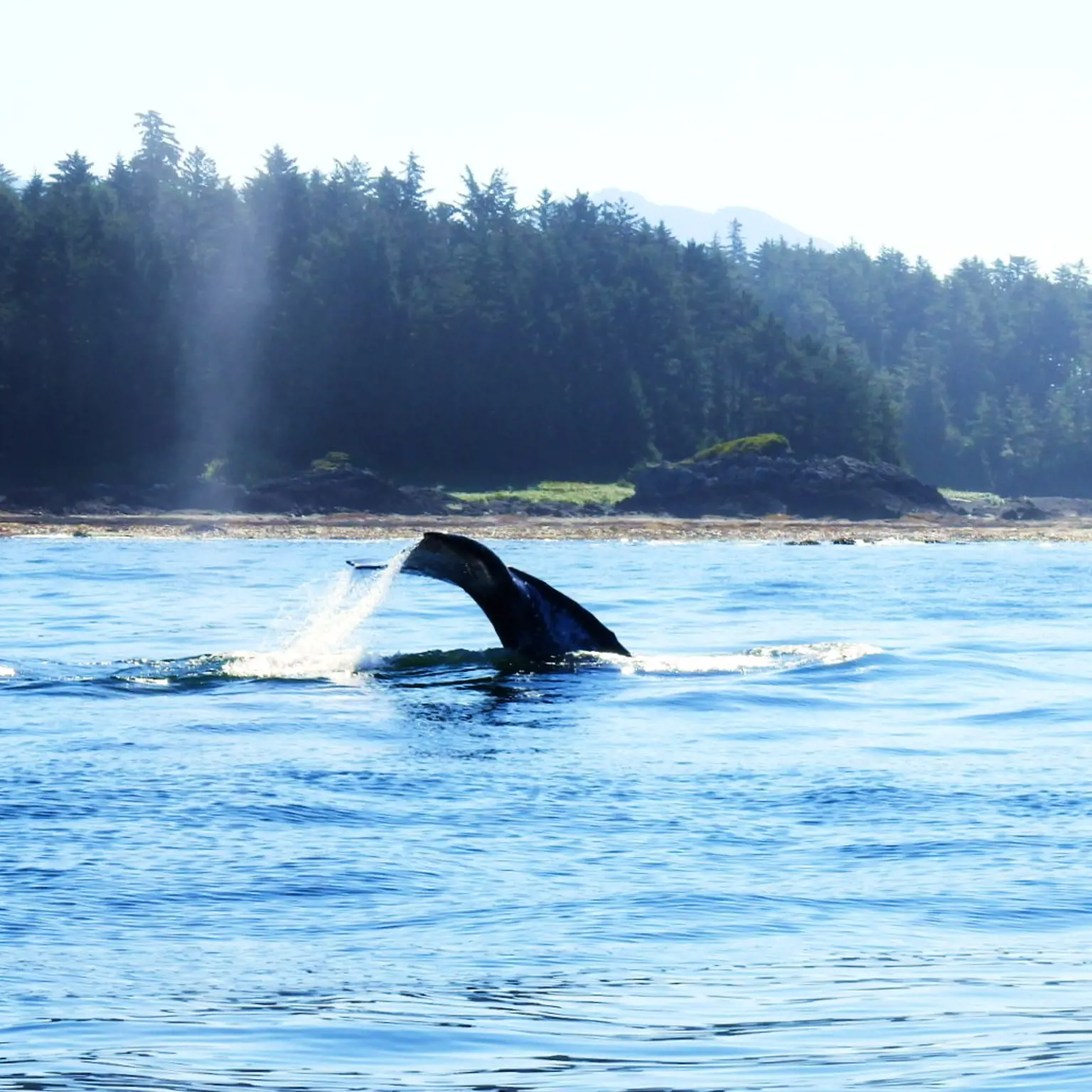 Begib dich auf Entdeckungstour